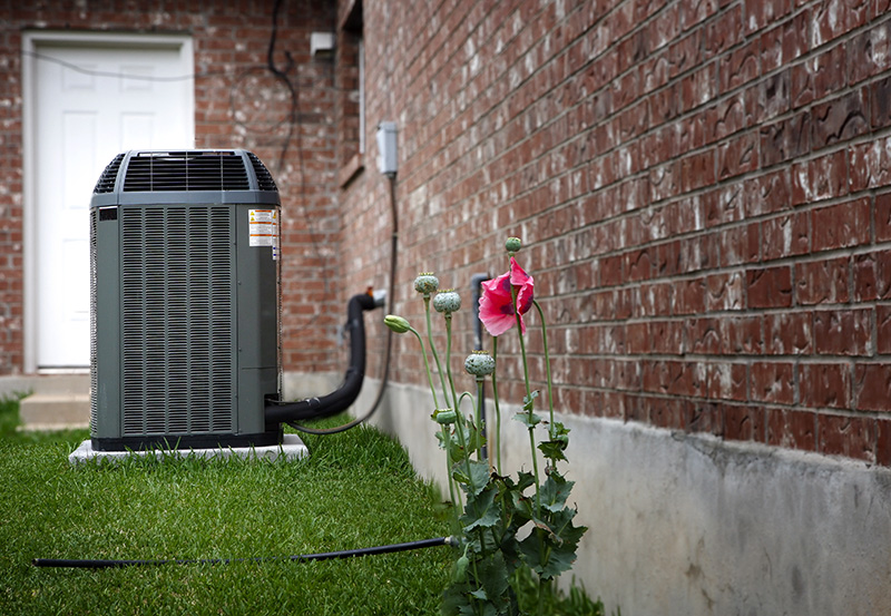 spring accc 5 Common AC Problems During Spring